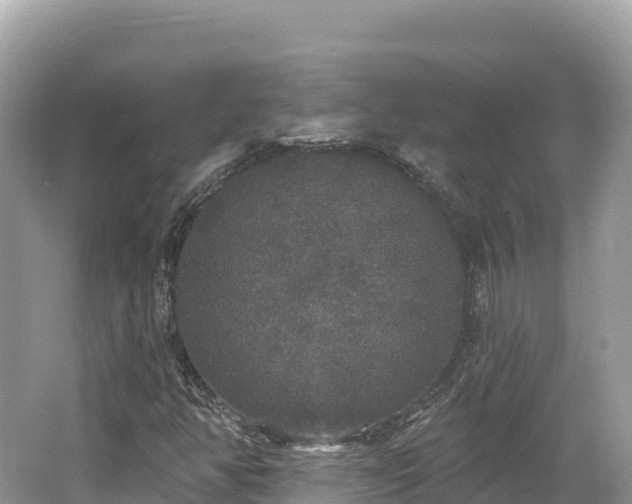 X0000062141350200512121231