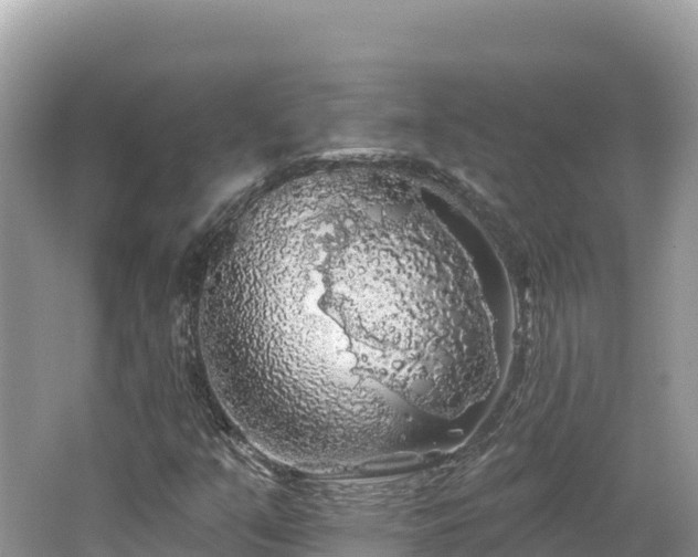 X0000062141351200512121231