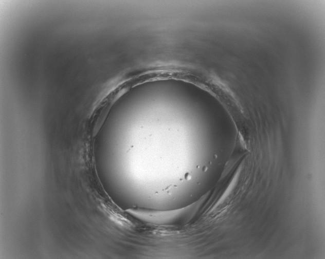 X0000062141352200512121231