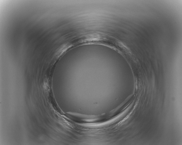 X0000062141353200512121231