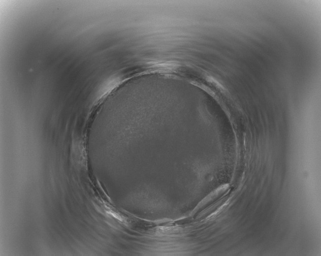 X0000062141354200512121231