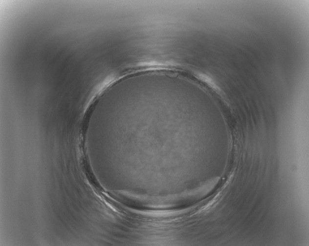 X0000062141357200512121230