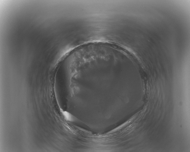 X0000062141359200512121230