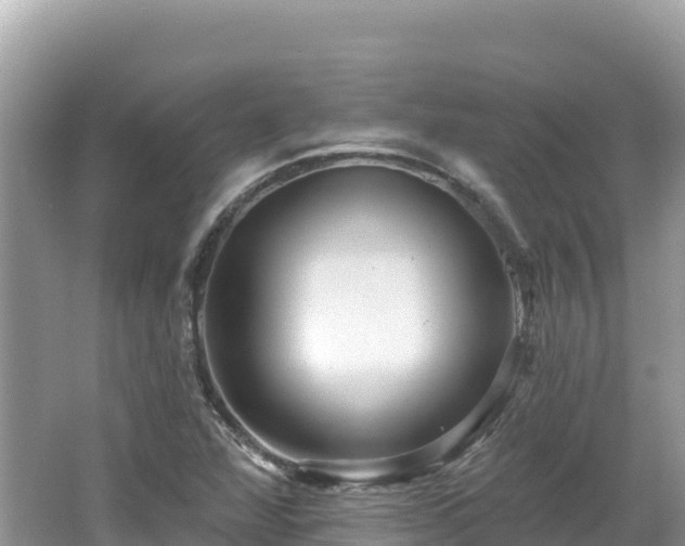 X0000062141360200512121230