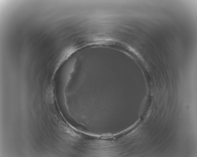 X0000062141362200512121230