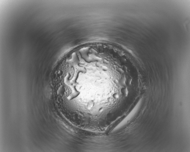 X0000062141363200512121230