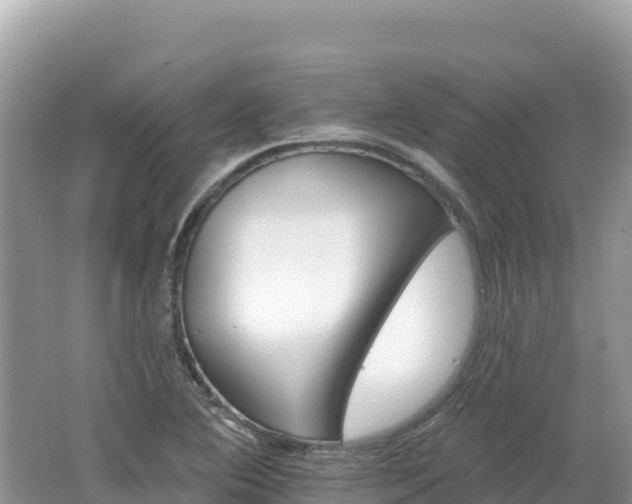 X0000062141364200512121230