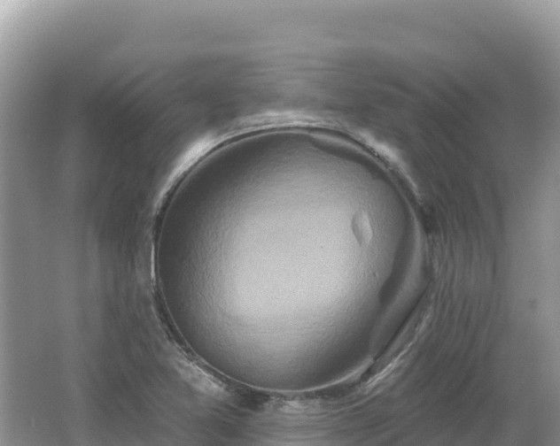 X0000062141365200512121230