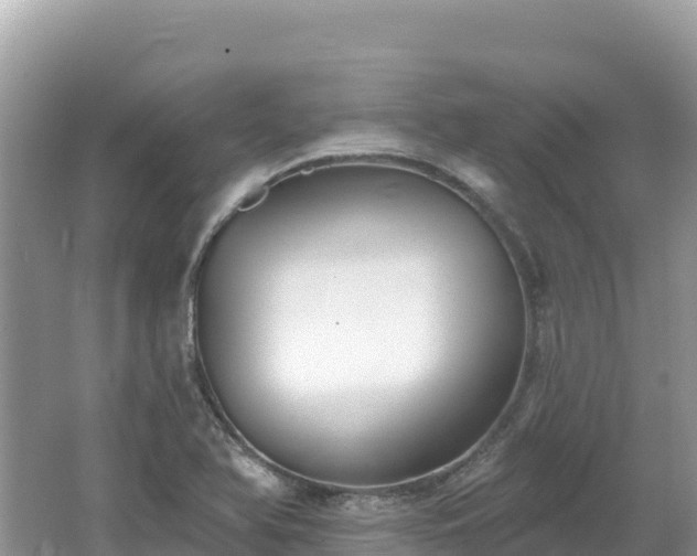 X0000062141366200512121230