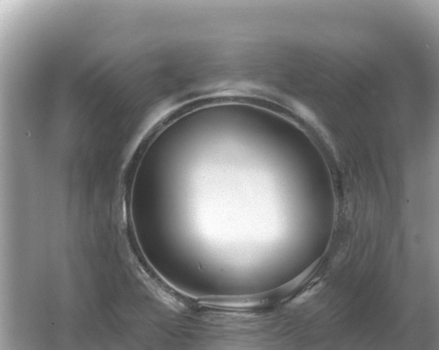 X0000062141368200512121230