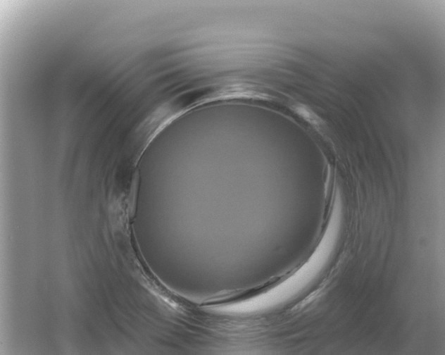 X0000062141369200512121230