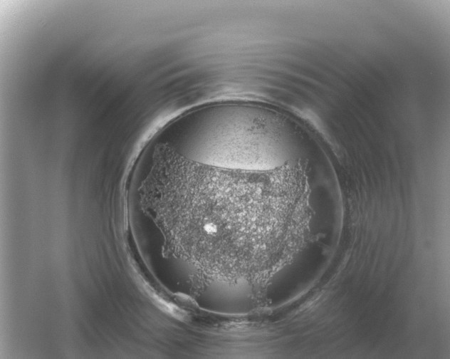 X0000062141371200512121230