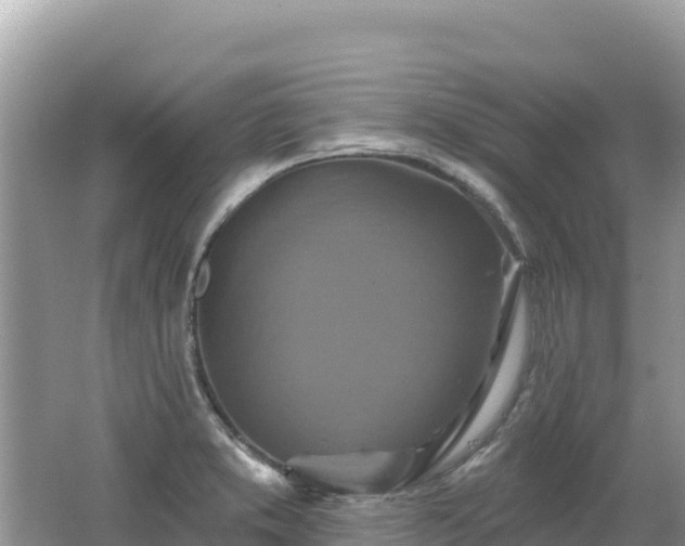 X0000062141373200512121230