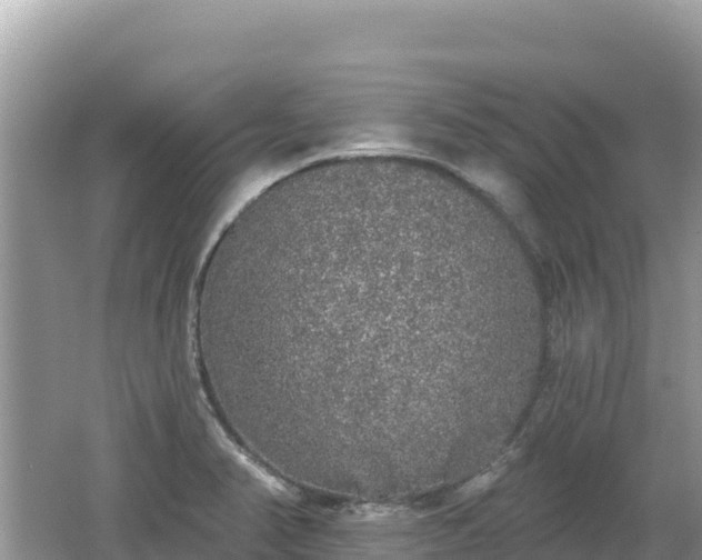 X0000062141374200512121230