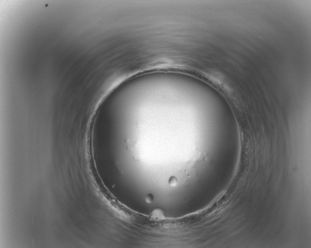 X0000062141375200512121230