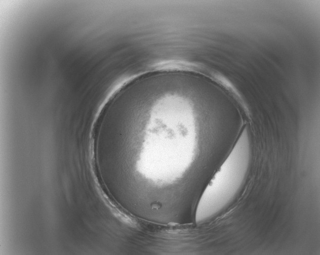 X0000062141376200512121230