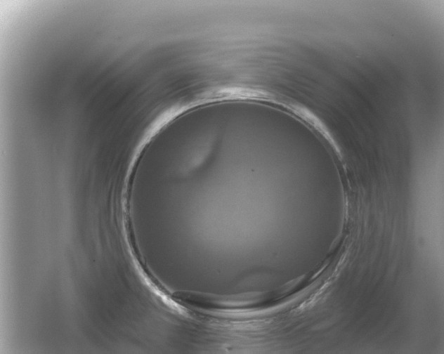 X0000062141381200512121230