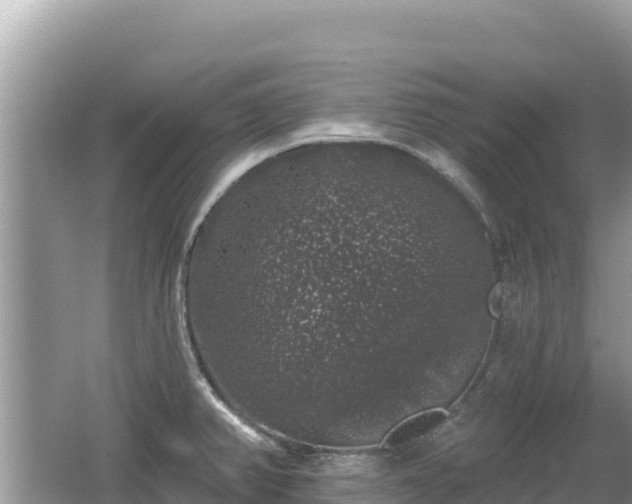 X0000062141382200512121230