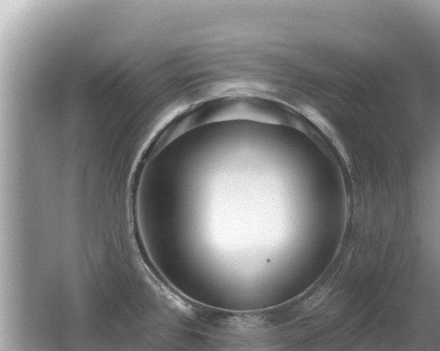 X0000062141384200512121230