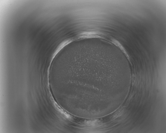 X0000062141386200512121230