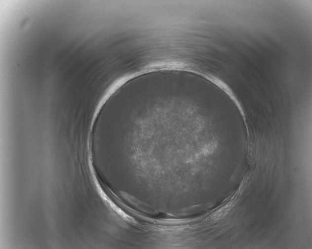 X0000062141389200512121230