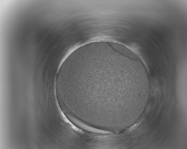 X0000062141390200512121230