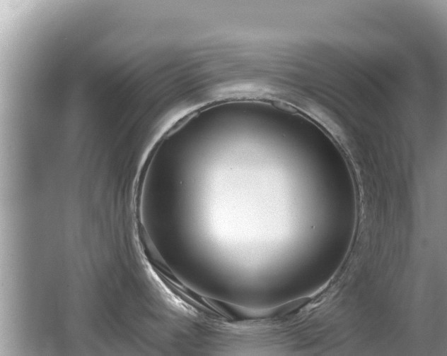 X0000062141392200512121230