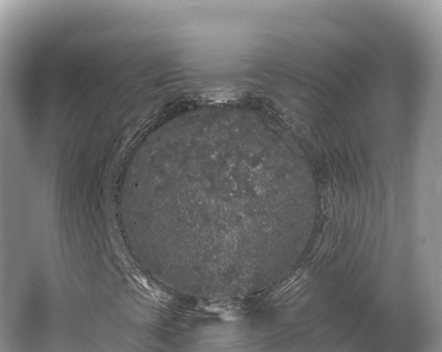 X0000062141393200512121229