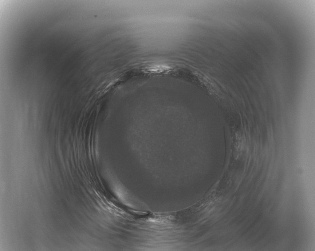 X0000062141394200512121229