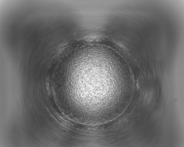 X0000062141396200512121229