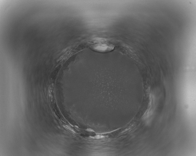 X0000062141397200512121229