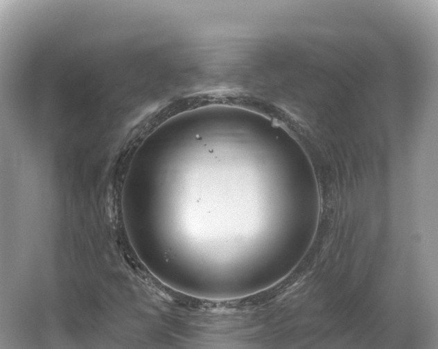 X0000062141398200512121229