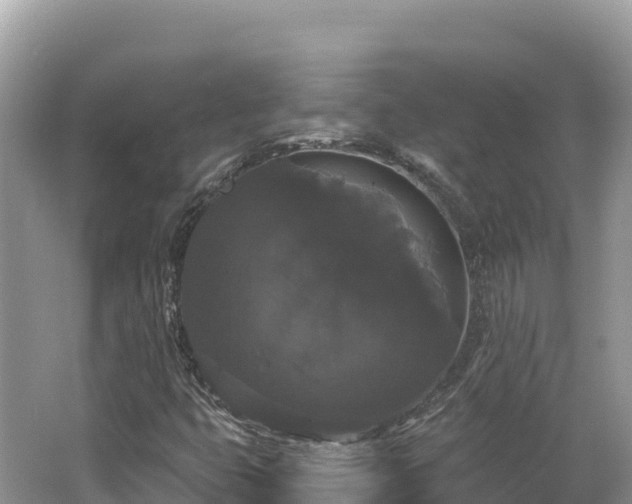 X0000062141399200512121229