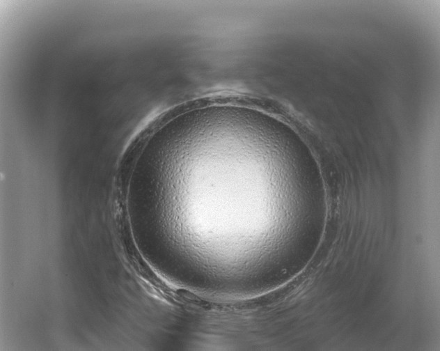 X0000062141400200512121229