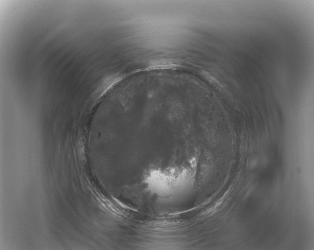 X0000062141401200512121229