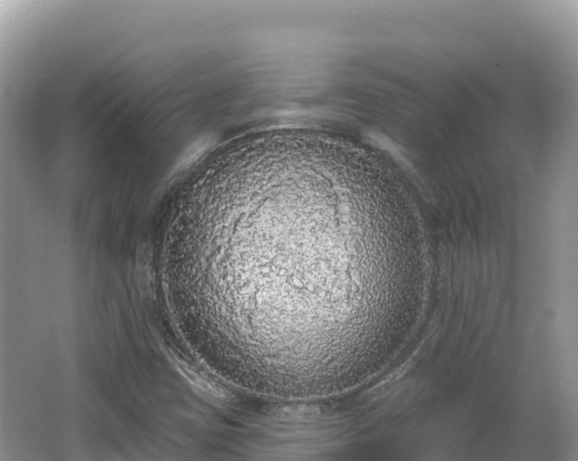 X0000062141403200512121229