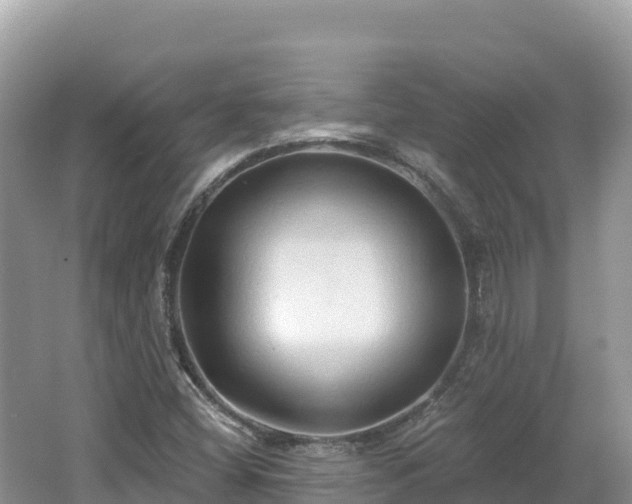 X0000062141404200512121229