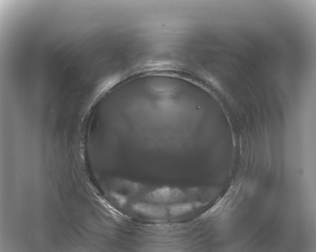 X0000062141405200512121229