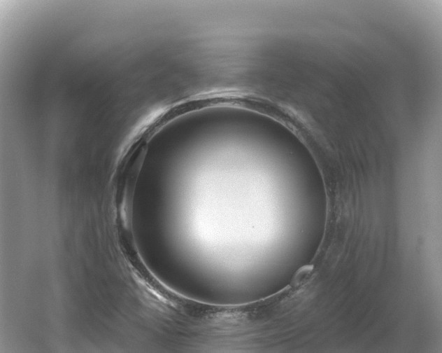 X0000062141406200512121229