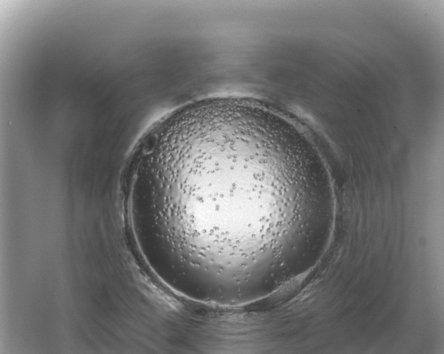 X0000062141408200512121229