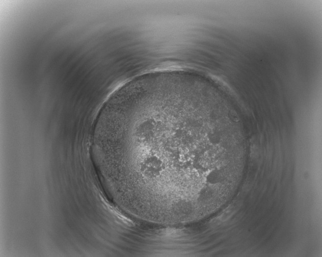 X0000062141409200512121229