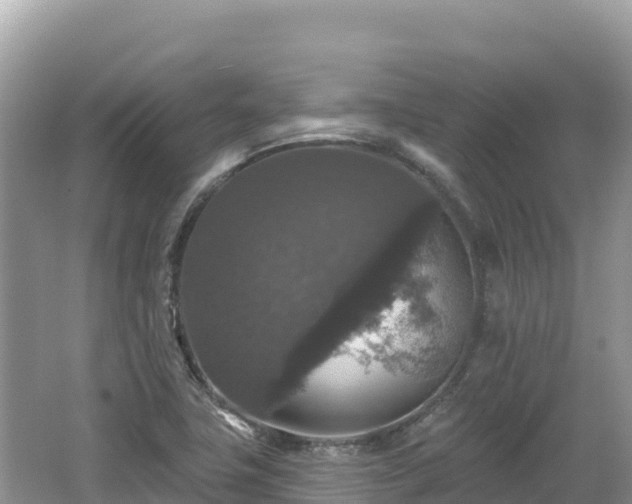 X0000062141411200512121229