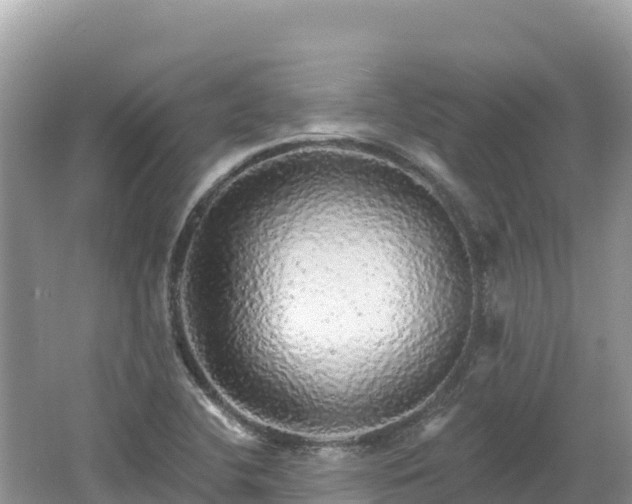 X0000062141412200512121229