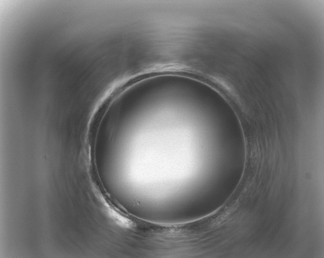 X0000062141414200512121229