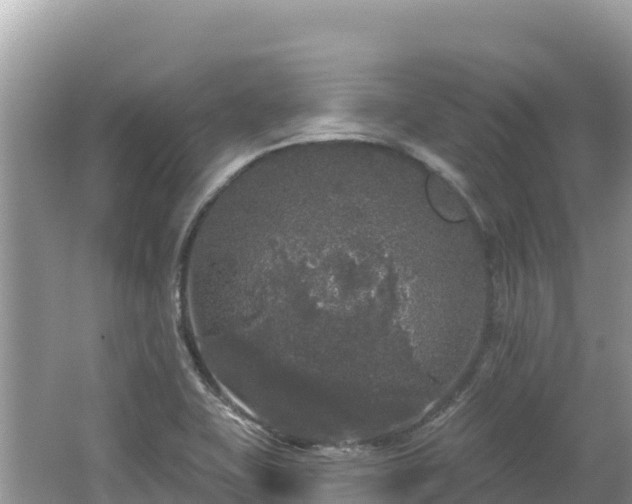 X0000062141415200512121229