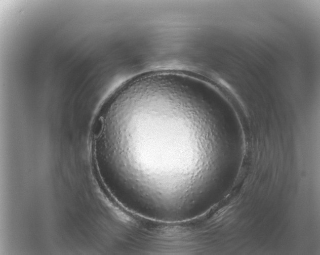 X0000062141416200512121229