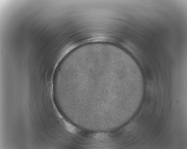 X0000062141418200512121229