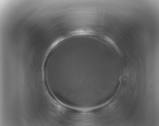 X0000062141419200512121230