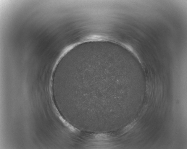 X0000062141421200512121230