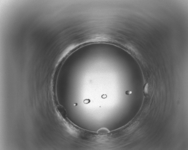 X0000062141422200512121230